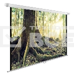 Экран Cactus 220x220см WallExpert CS-PSWE-220x220-WT 1:1 настенно-потолочный рулонный, фото4