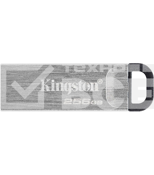 Флеш диск Kingston KYSON 256GB USB 3.2 Gen 1