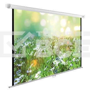 Экран Cactus 200x200см WallExpert CS-PSWE-200x200-WT 1:1 настенно-потолочный рулонный