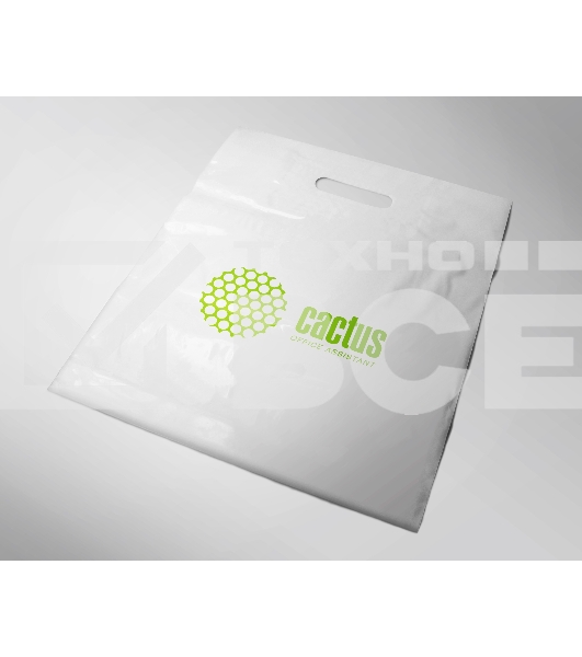 Пакет Cactus (CACTUS POLYBAG A4 25) белый 30х40 см ПВД (упак.: 25 шт)