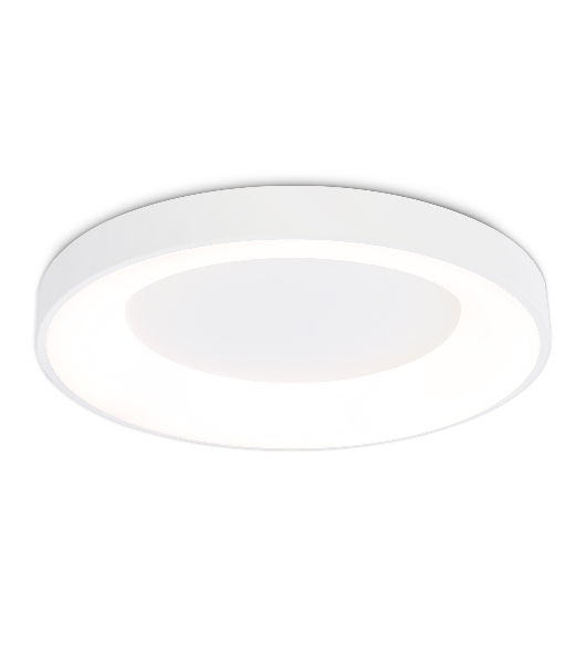 Потолочный светодиодный светильник Ambrella light FZ1401 WH белый IP20 48W 3000K-6500K D500*50 (ПДУ ИК)