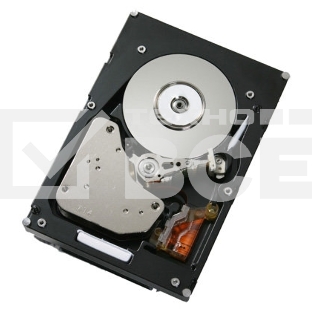 Жесткий диск IBM 300Gb 2Gbs FC E-DDM HDDS 1