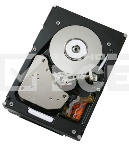 Жесткий диск IBM 300Gb 2Gbs FC E-DDM HDDS 1