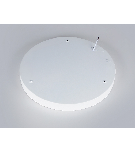 Потолочный светодиодный светильник Ambrella light FZ1401 WH белый IP20 48W 3000K-6500K D500*50 (ПДУ ИК)