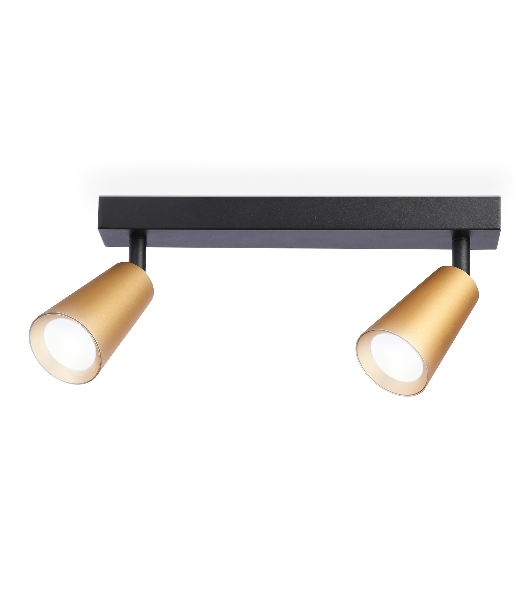 Накладной поворотный спот Ambrella light TA13146/2 BK/GD черный/золото GU10/2 max 12W 295*60*130