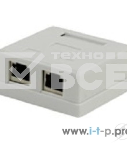 Монтажное оборудование 5bites Розетка LY-SB11 внешняя RJ-45 STP 5e кат., 2порт.
