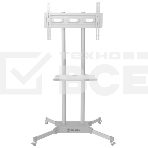 Стойка для телевизора Onkron TS1351 белый 32