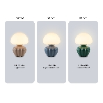 Настольная лампа Ambrella light LH53247 CF/WH кофе/белый G9 max 28W D165*220, фото7