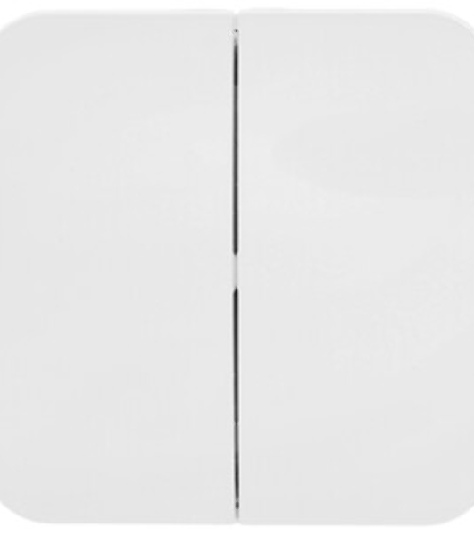 Systeme Electric Blanca наруж Бел Выключатель 2-клавишный, 6А, 250В