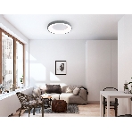 Потолочный светодиодный светильник Ambrella light FZ1402 GR серый IP20 48W 3000K-6500K D500*50 (ПДУ ИК), фото3