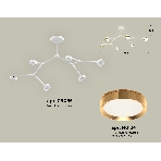 Светильник Ambrella light XB9055152/6 SWH/PYG белый песок/золото желтое полированное GX53 (C9055, N8124), фото4