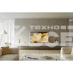 Телевизор Sony BRAVIA 55