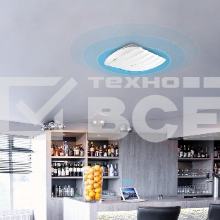 Точка доступа 300Mbps Wireless N Ceiling Mount Access Point, Qua EUplug
