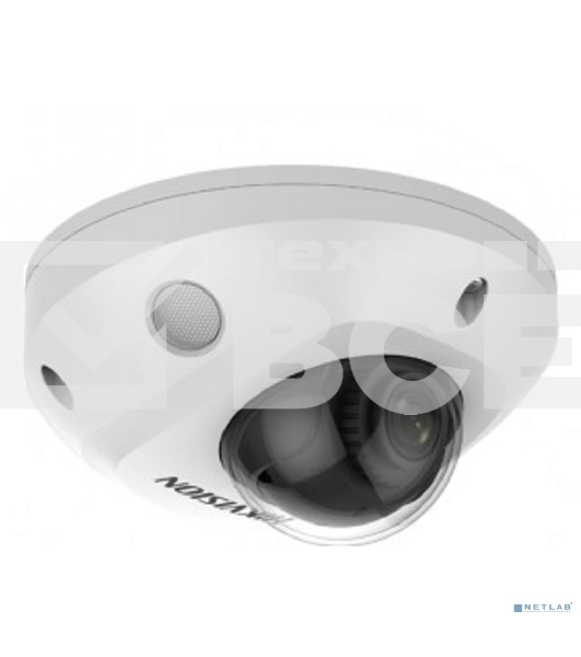 Видеокамера IP Hikvision DS-2CD2543G2-IS(2.8mm)