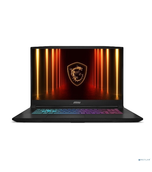 Ноутбук MSI Katana 17 B2RVEK-1617XRU/17.3/IPS/Intel Core 7 240H/16Gb/1Tb SSD/nVidia GeForce RTX 4050 6Gb/NoOS/черный/2.6kg