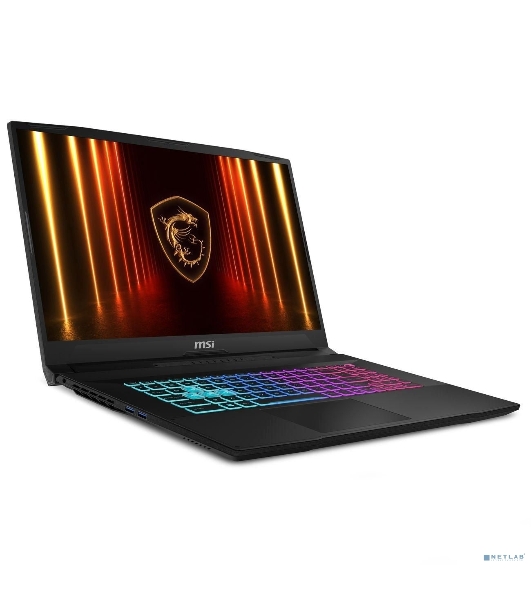 Ноутбук MSI Katana 17 B2RVEK-1617XRU/17.3/IPS/Intel Core 7 240H/16Gb/1Tb SSD/nVidia GeForce RTX 4050 6Gb/NoOS/черный/2.6kg