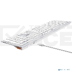 Клавиатура беспроводная A4Tech Fstyler FBX50C, USB, Bluetooth/Радиоканал, белый, фото3