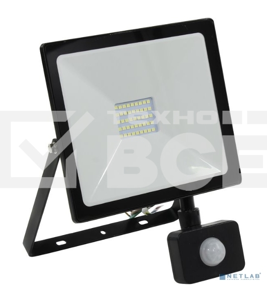 Светодиодный (LED) прожектор FL Sensor Smartbuy-30W/6500K/I65