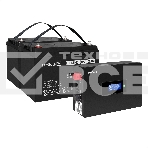 Комплект Источник бесперебойного питания EX295994RUS + батарея 100Aч EX282985RUS 2шт (инвертор, синус, для котла, PF=1, настенный) ExeGate IdealSine SR-1500.LCD.2SH  <1500VA/1500W, чистая синусоида, цветной LCD-дисплей, 2*Schuko, крепление настенное, черный> + батарея ExeGate DT 12100 (12В, 100Ач) 2шт, фото7