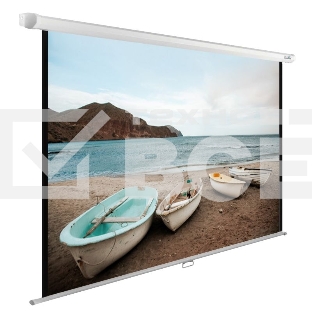 Экран Cactus 138x220см WallExpert CS-PSWE-220x138-WT 16:10 настенно-потолочный рулонный белый