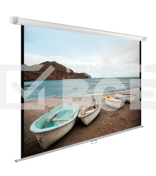 Экран Cactus 138x220см WallExpert CS-PSWE-220x138-WT 16:10 настенно-потолочный рулонный белый