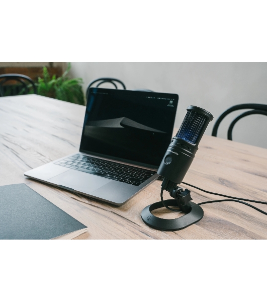 Микрофон проводной Audio-Technica AT2020USBX 2.0м черный