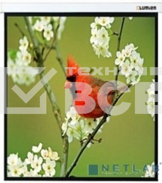 Экраны LUMIEN LUMIEN Master Picture LMP-100129 220*220 1:1, черная кайма по периметру