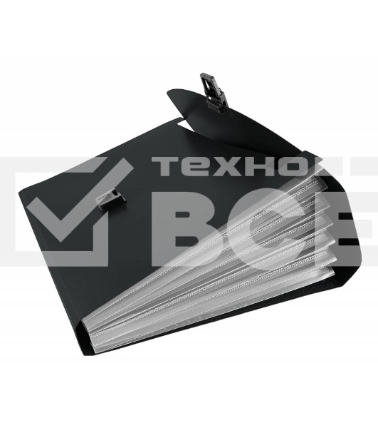 Папка-портфель Бюрократ -BPP6BLCK 6 отделений, A4, пластик, 0.7мм, черный