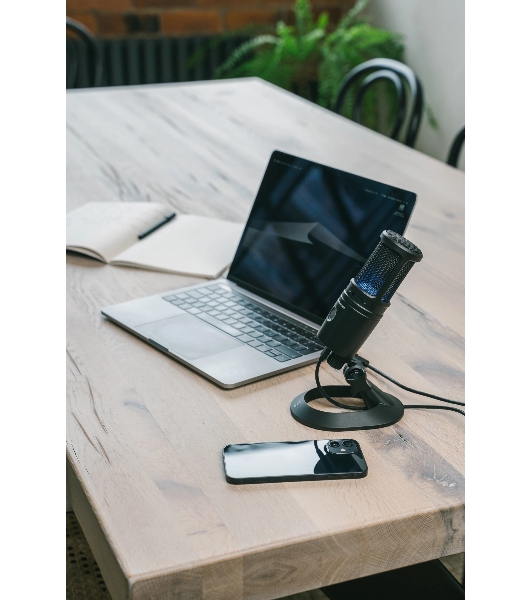 Микрофон проводной Audio-Technica AT2020USBX 2.0м черный