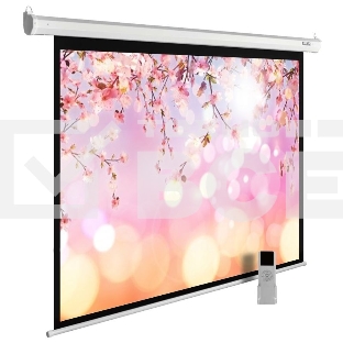 Экран Cactus 220x220см MotoExpert CS-PSME-220x220-WT 1:1 настенно-потолочный рулонный белый (моторизованный привод)