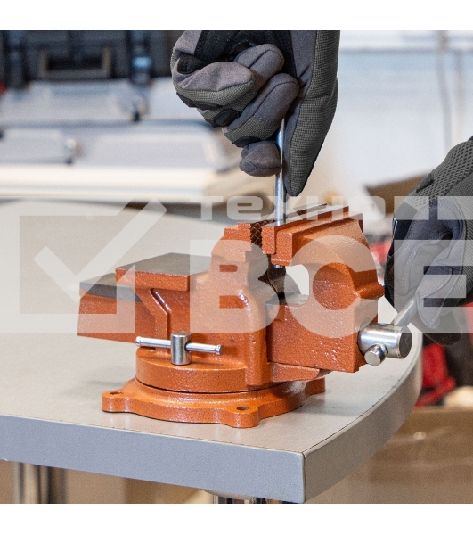 Тиски слесарные Sparta 100мм поворотные с наковальней