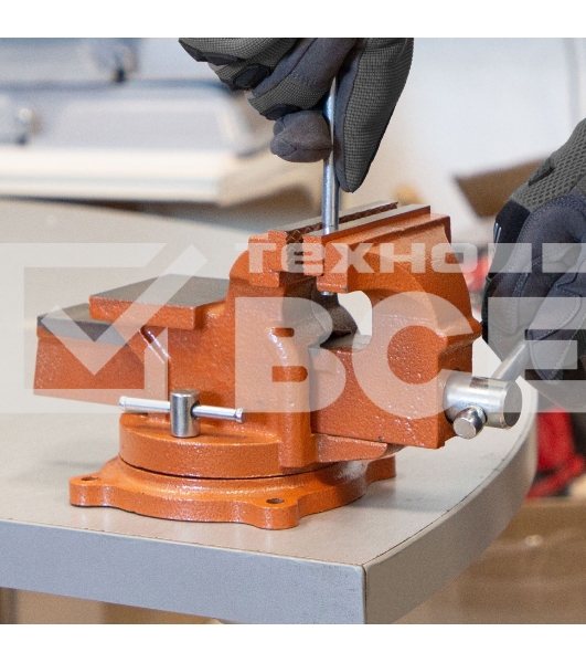 Тиски слесарные Sparta 100мм поворотные с наковальней