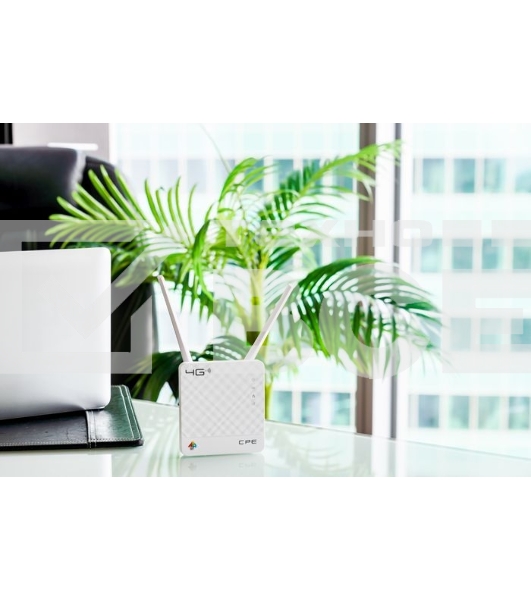 Интернет-центр Anydata R200 (W0047591) 10/100BASE-TX/4G(3G)