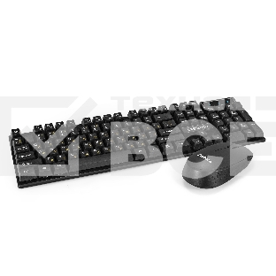 Комплект беспроводной ExeGate Professional Standard Combo MK210 (клавиатура полноразмерная влагозащищенная 104кл. + мышь оптическая 1200dpi, 3 кнопки и колесо прокрутки; USB, радиоканал 2,4 ГГц, радиус действия до 10м, черный, Color Box)