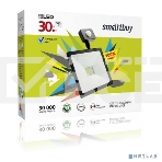 Светодиодный (LED) прожектор FL Sensor Smartbuy-30W/6500K/I65, фото 1