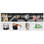 Коврик для мыши Defender Wild Animals и, 220x180x2 мм, 8 видов, фото12