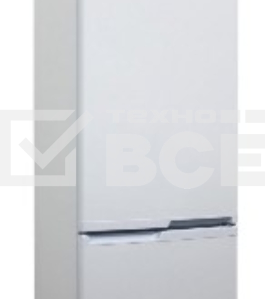 Холодильник DON R-295 BI белая искра двухкамерный 259/101л морозилка снизу