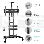 Стойка для телевизора с кронштейном ONKRON TS1881 50