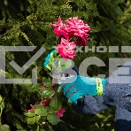 Перчатки садовые на липучке, силиконовое нанесение, размер 7, Luxe Palisad, фото 1