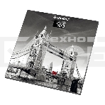 Весы напольные  Endever Skyline FS-541 (150кг, стекло, Лондон), фото2