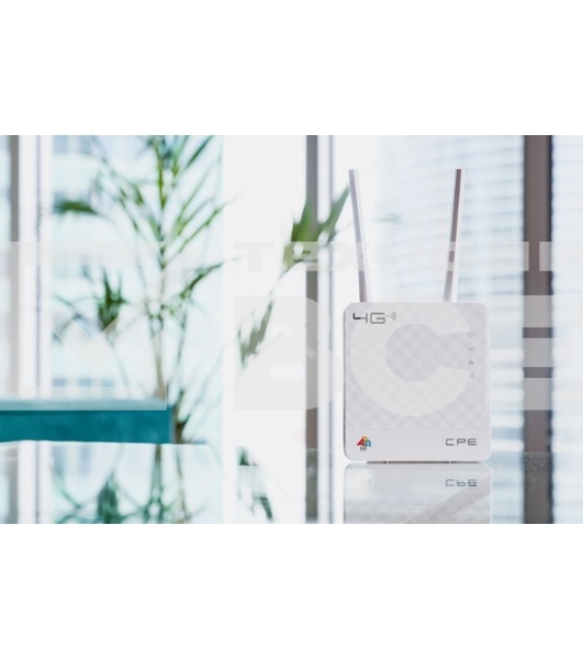 Интернет-центр Anydata R200 (W0047591) 10/100BASE-TX/4G(3G)
