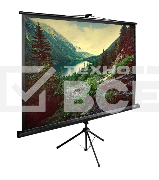 Экран Cactus 220x220см TriExpert CS-PSTE-220х220-BK 1:1 напольный рулонный