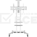Стойка для телевизора с кронштейном ONKRON TS1881 50