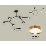 Светильник Ambrella light XB9056152/6 SBK/PYG черный песок/золото желтое полированное GX53 (C9056, N8124), фото 1