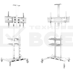 Стойка для телевизора с кронштейном ONKRON TS1881 50