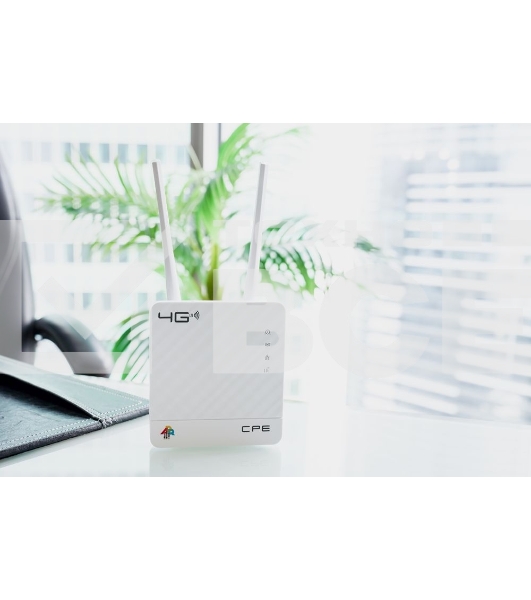 Интернет-центр Anydata R200 (W0047591) 10/100BASE-TX/4G(3G)