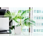Интернет-центр Anydata R200 (W0047591) 10/100BASE-TX/4G(3G), фото8