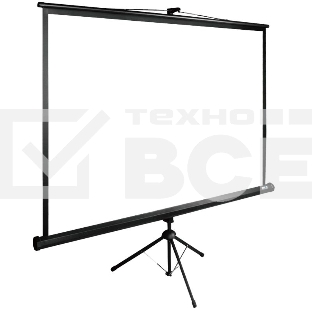 Экран Cactus 160x160см TriExpert CS-PSTE-160x160-BK 1:1 напольный рулонный