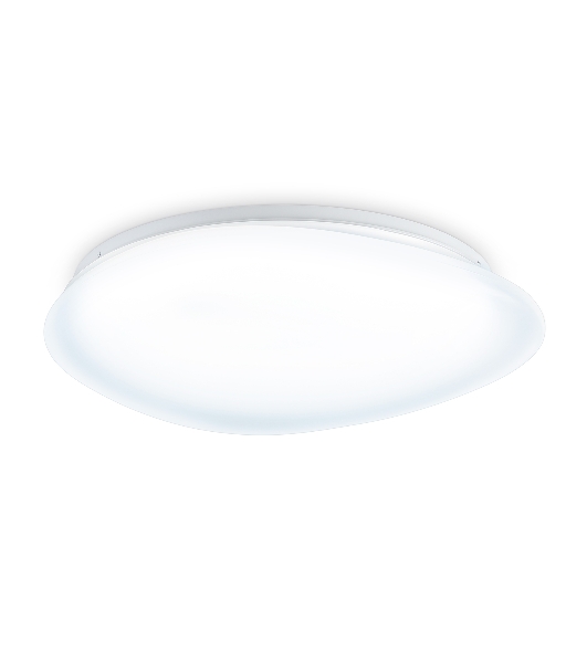 Потолочный светодиодный светильник Ambrella light FZ1605 FR матовый IP20 60W 5000K 510*100 (Без ПДУ)
