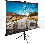 Экран Cactus 160x160см TriExpert CS-PSTE-160x160-BK 1:1 напольный рулонный, фото4